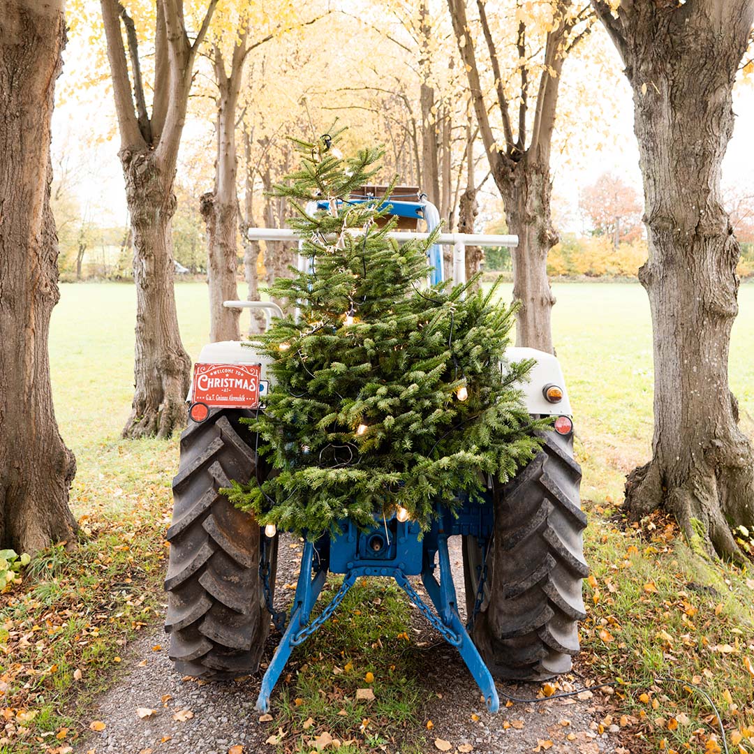 ANZAHLUNG Weihnachtsbaum Vorbestellung auf G.u.T. Gnissau