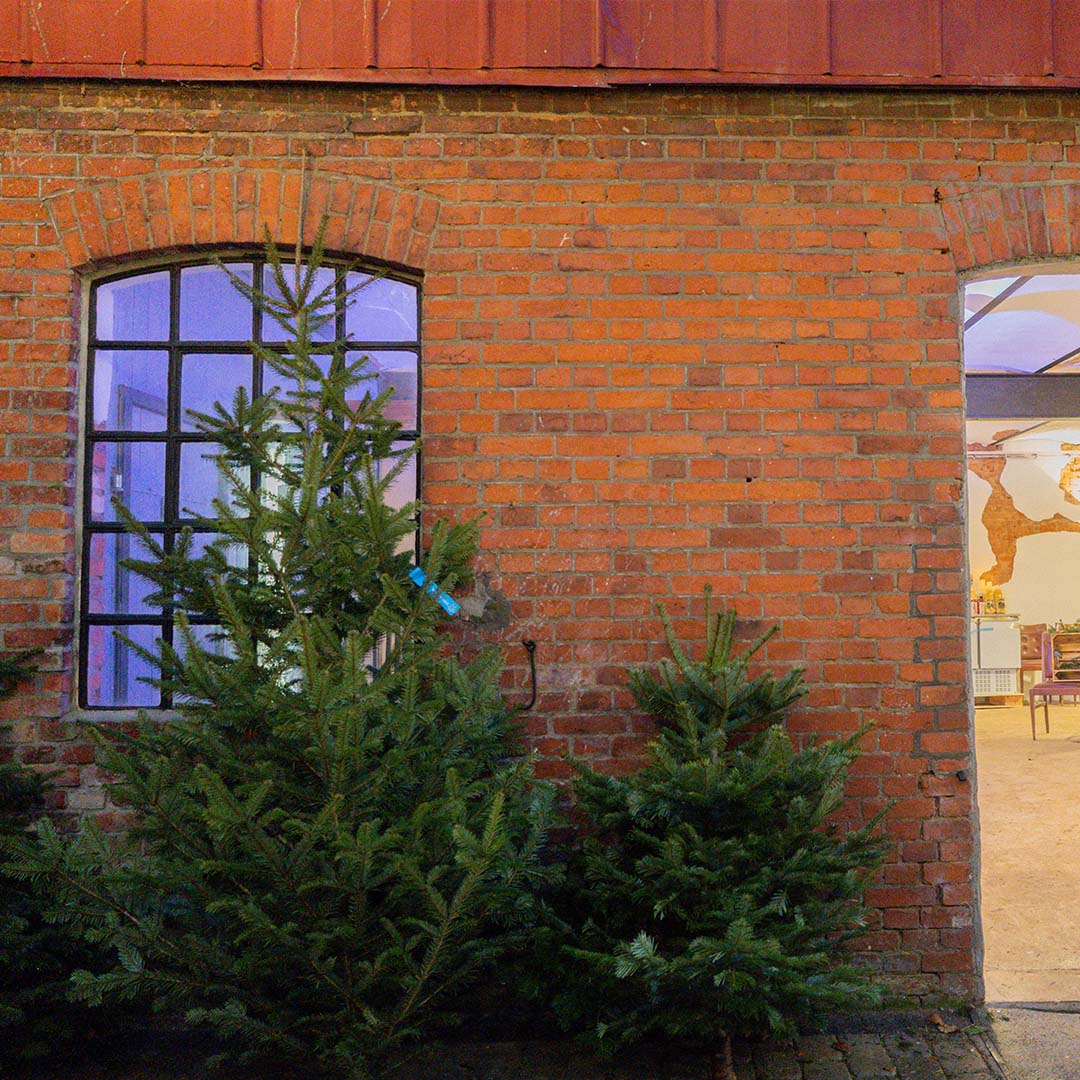 ANZAHLUNG Weihnachtsbaum Vorbestellung auf G.u.T. Gnissau