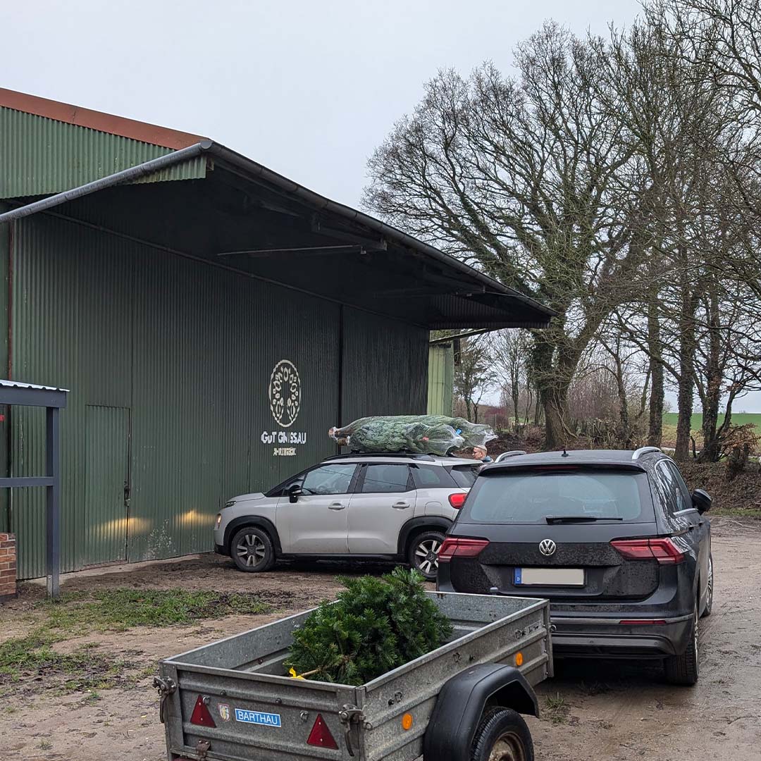 ANZAHLUNG Weihnachtsbaum Vorbestellung auf G.u.T. Gnissau